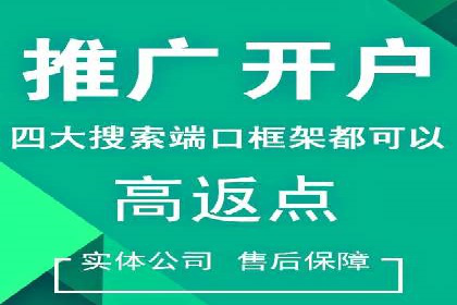 案例研究：SEM代运营服务公司的创新策略